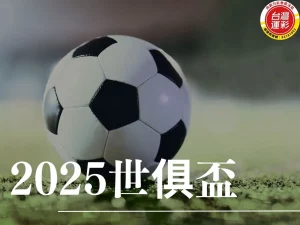 2025世俱盃 國際足總俱樂部世界盃 世俱盃賽程 世俱盃資格