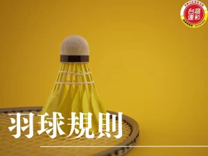 羽球規則 羽球規則懶人包 羽球規則介 羽球規則發球