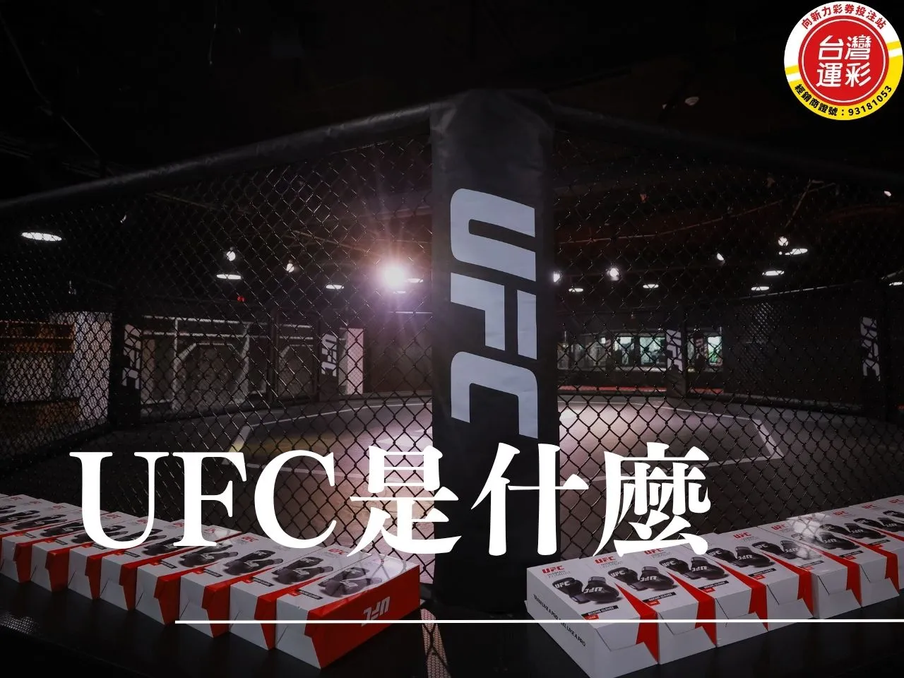 Ufc是什麼 Ufc排名 Ufc冠軍 Ufc現任冠軍 Ufc比賽 Ufc賽程